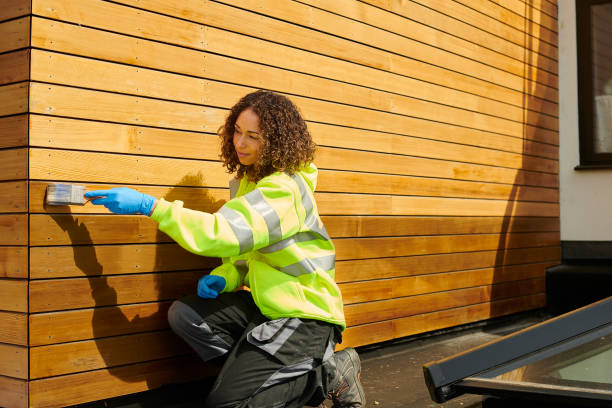 Best Stone Veneer Siding  in Footville, WI